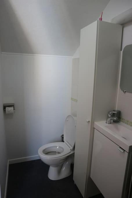 Petite Venise Du Gatinais - T2 Avec Jardin Villa มงตาร์ฌี ภายนอก รูปภาพ
