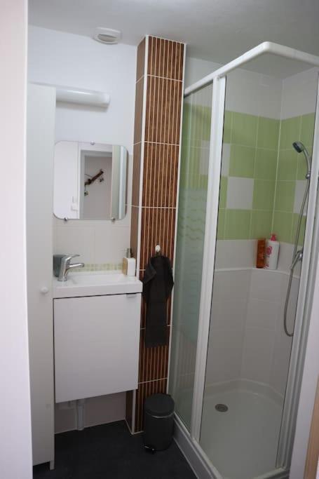 Petite Venise Du Gatinais - T2 Avec Jardin Villa มงตาร์ฌี ภายนอก รูปภาพ