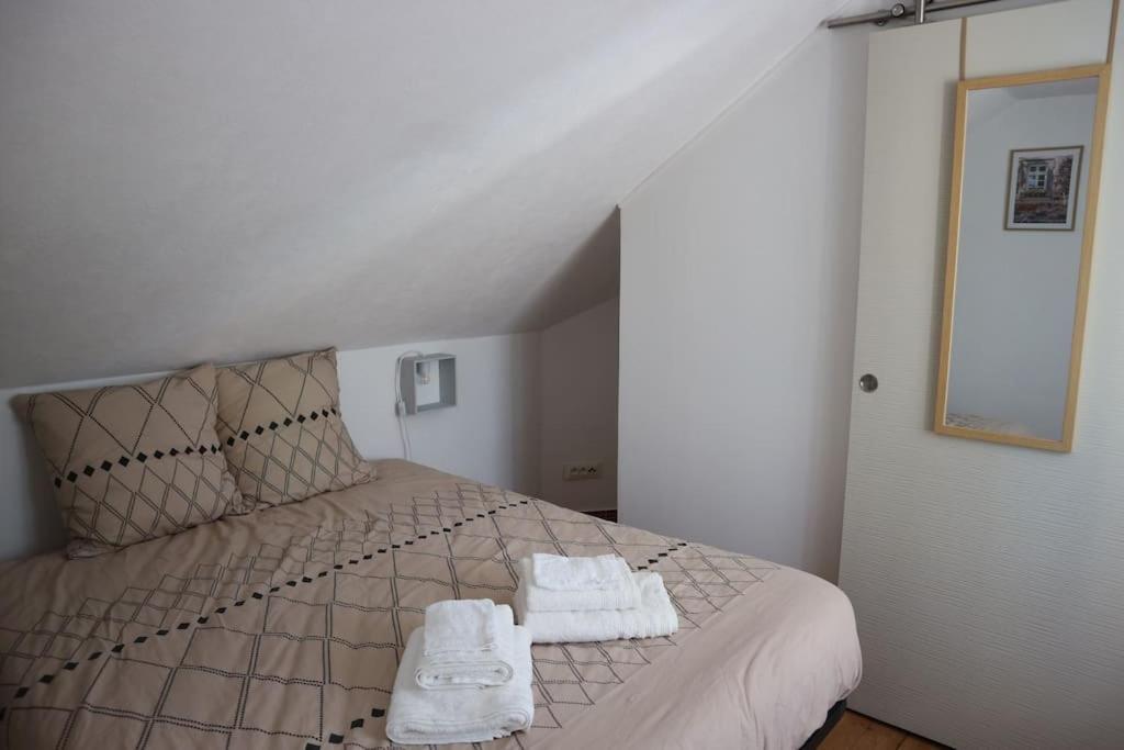 Petite Venise Du Gatinais - T2 Avec Jardin Villa มงตาร์ฌี ภายนอก รูปภาพ
